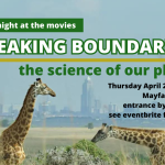 An invitation for a movie. the background photos shows giraffes in the savannah